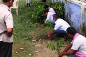 WhatsApp Image 2025-05-28 at 17.04.27_de4f2652